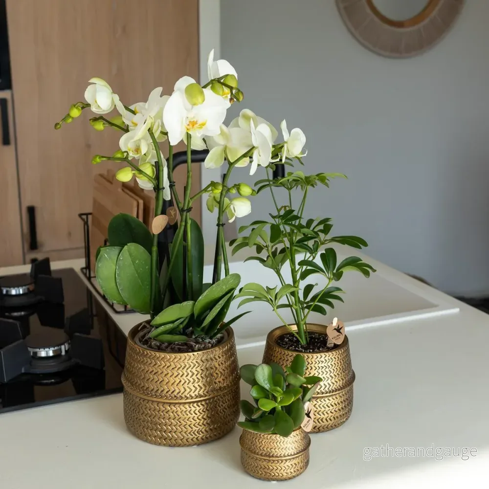 Plantkruka i metall - Ø6cm - Bild 3
