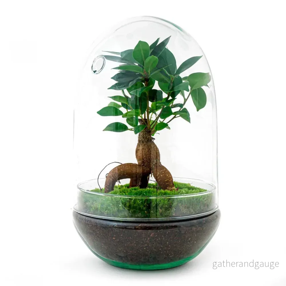 DIY Terrarium Kit - PARIS - Bild 3