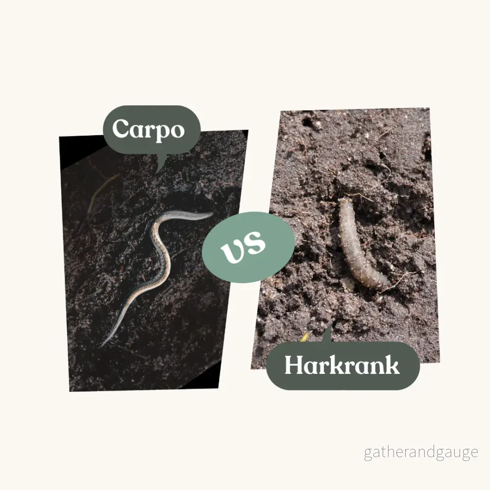 Carpo – mot harkrankslarver Carpo – mot harkrankslarver