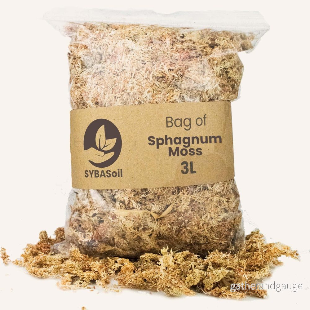 Sphagnummossa – 3L Sphagnummossa – 3L