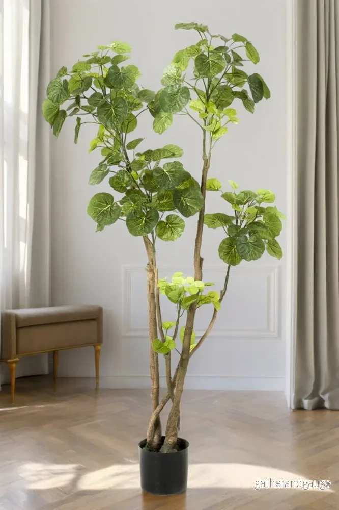 Polyscias konstgjorda växt – h140cm, Ø14cm