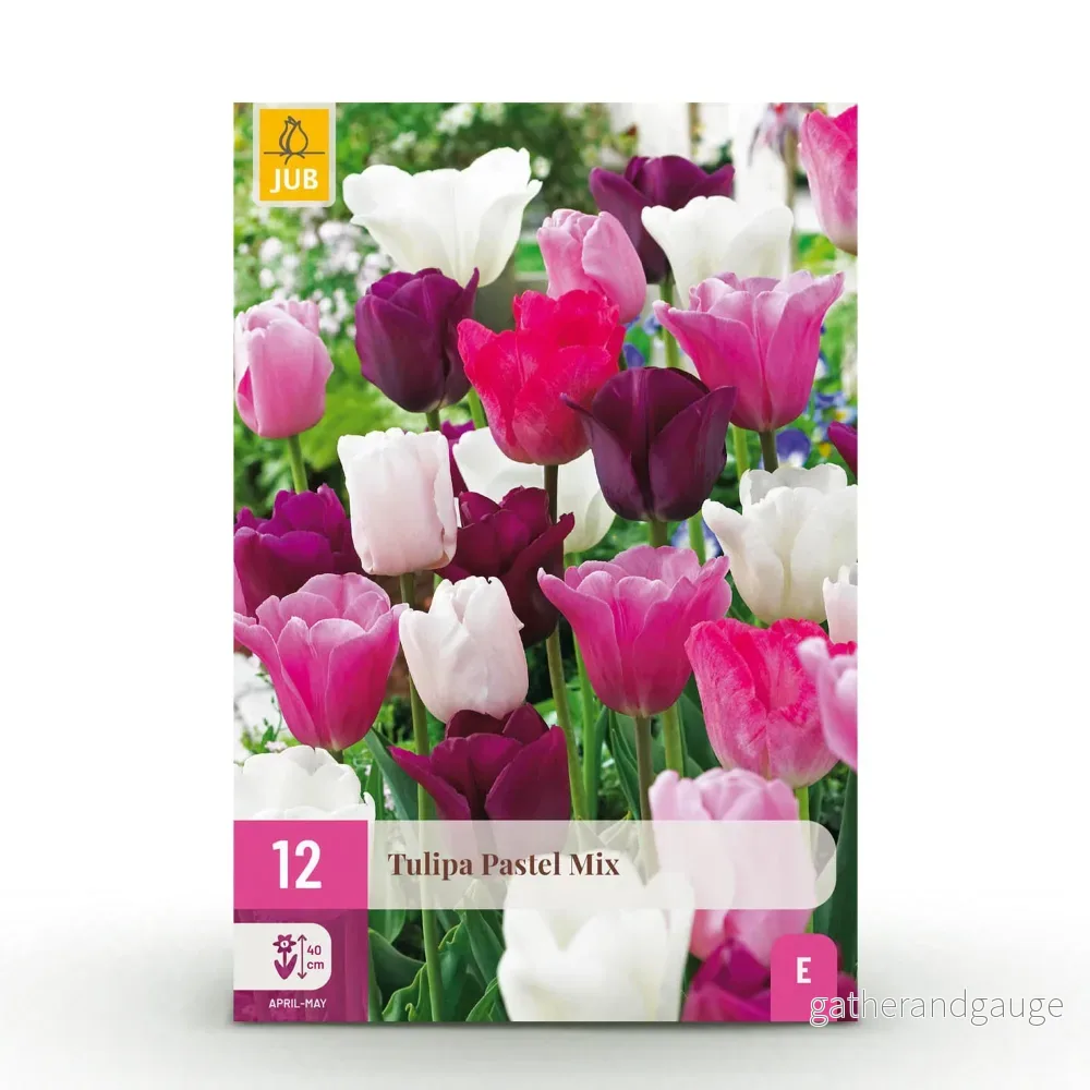 Green boutiQ – Bloembollen – Tulp Pastel mix – Diversen Kleuren – 12 stuks – Bolmaat 11/12 – XXL Pack