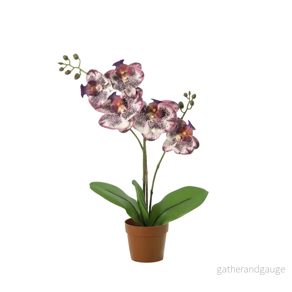 ARTIFICIAL Phalaenopsis orchid purple – 41cm ARTIFICIAL Phalaenopsis orchid purple – 41cm