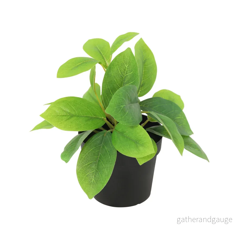 ARTIFICIAL Hoya green – 20cm ARTIFICIAL Hoya green – 20cm