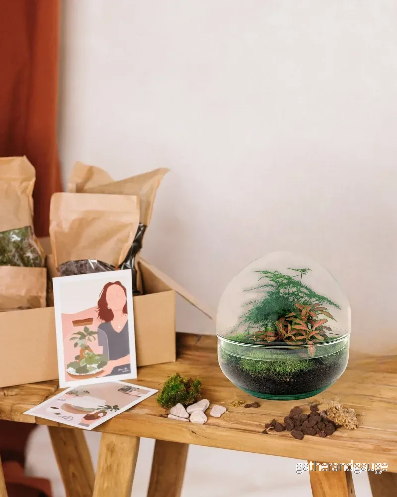 DIY Terrarium Kit – DOME DIY Terrarium Kit – DOME