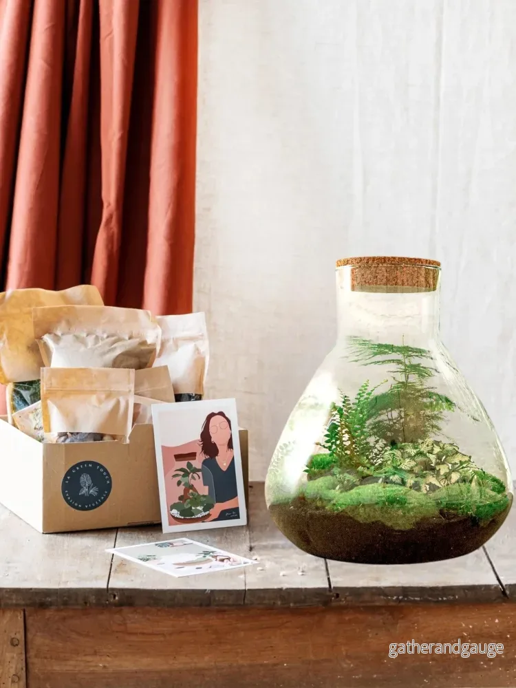 DIY Terrarium Kit – SAMOS DIY Terrarium Kit – SAMOS