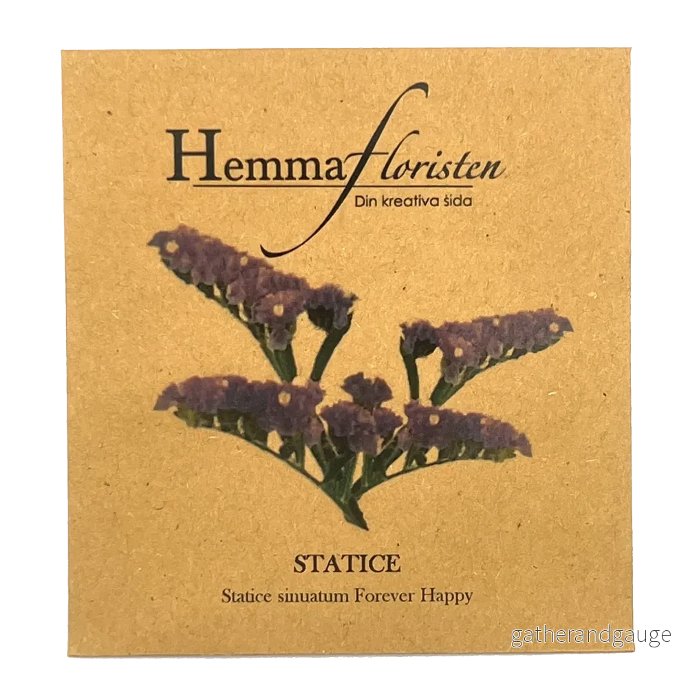 Statice – Forever Happy Statice – Forever Happy