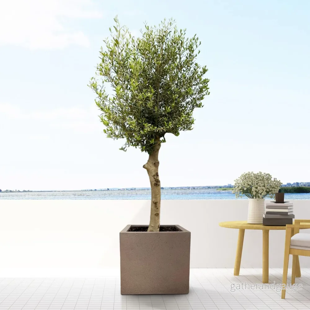 Grigo Cube Pot Brons 40 cm - Bild 3