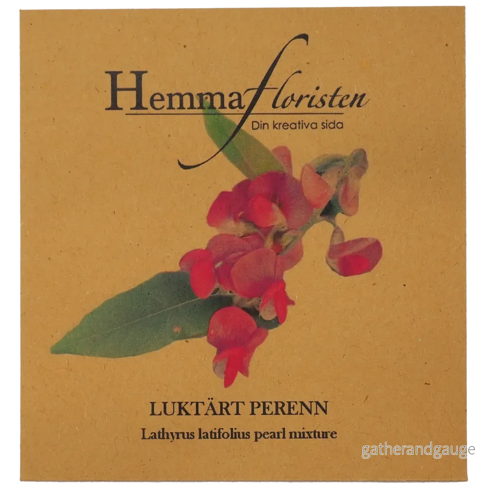 Luktärt perenn - Bild 2