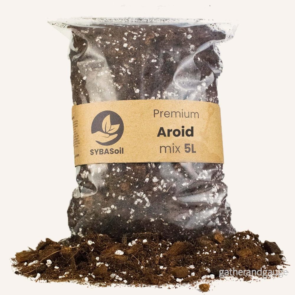 Araceae-blandning – 5L