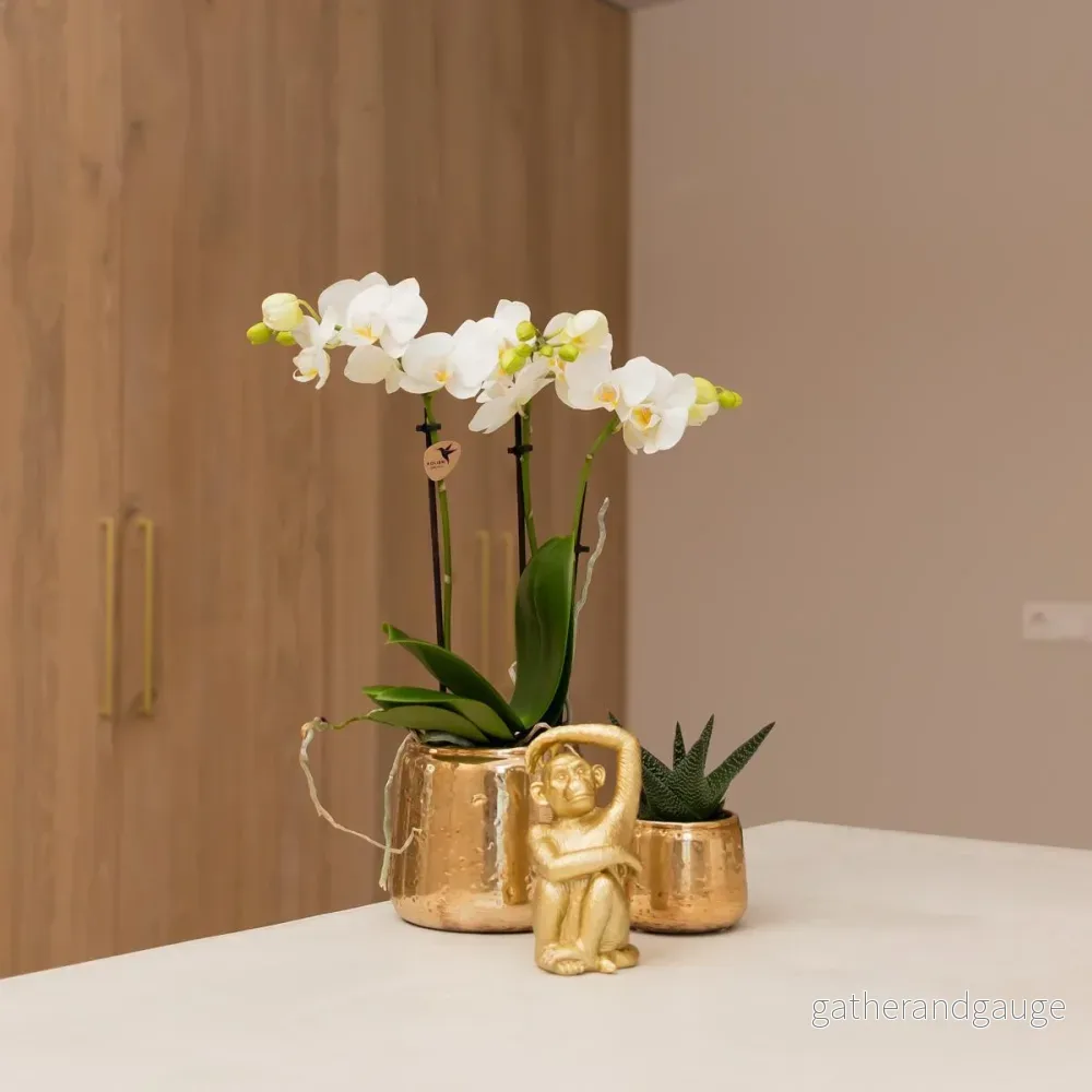 Guld sittande apa - dekorativ figur - Bild 2