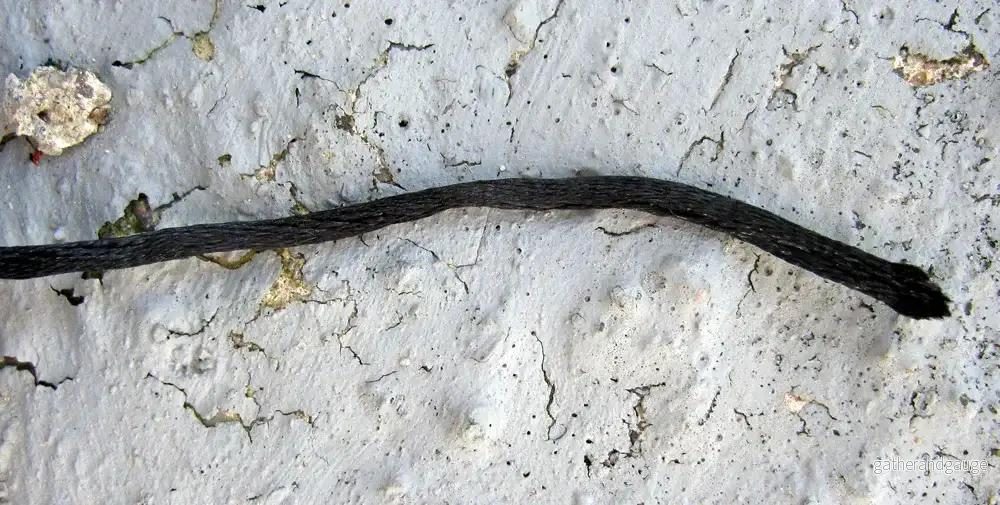 Nylontråd - Svart, 2 mm, 1m - Bild 2