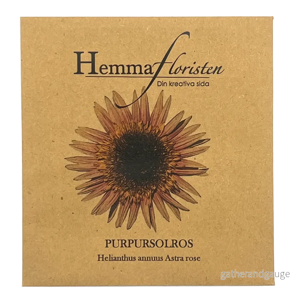 Solros purpur