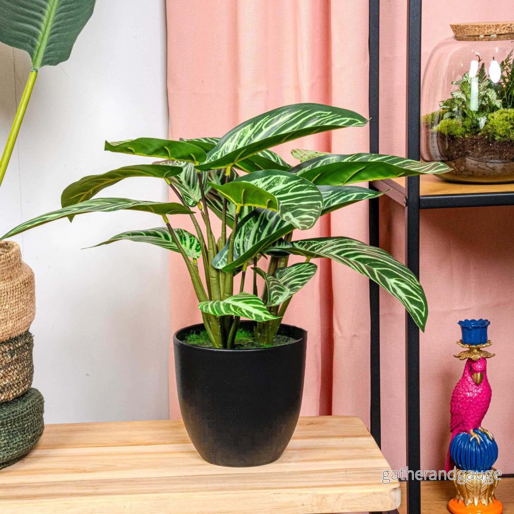 Calathea artificiel och kruka h40cm Calathea artificiel och kruka h40cm