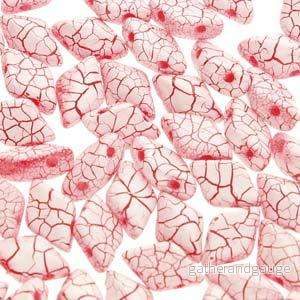 Matubo Gemduo - Ionic White/Red 8x5mm, 10 gram