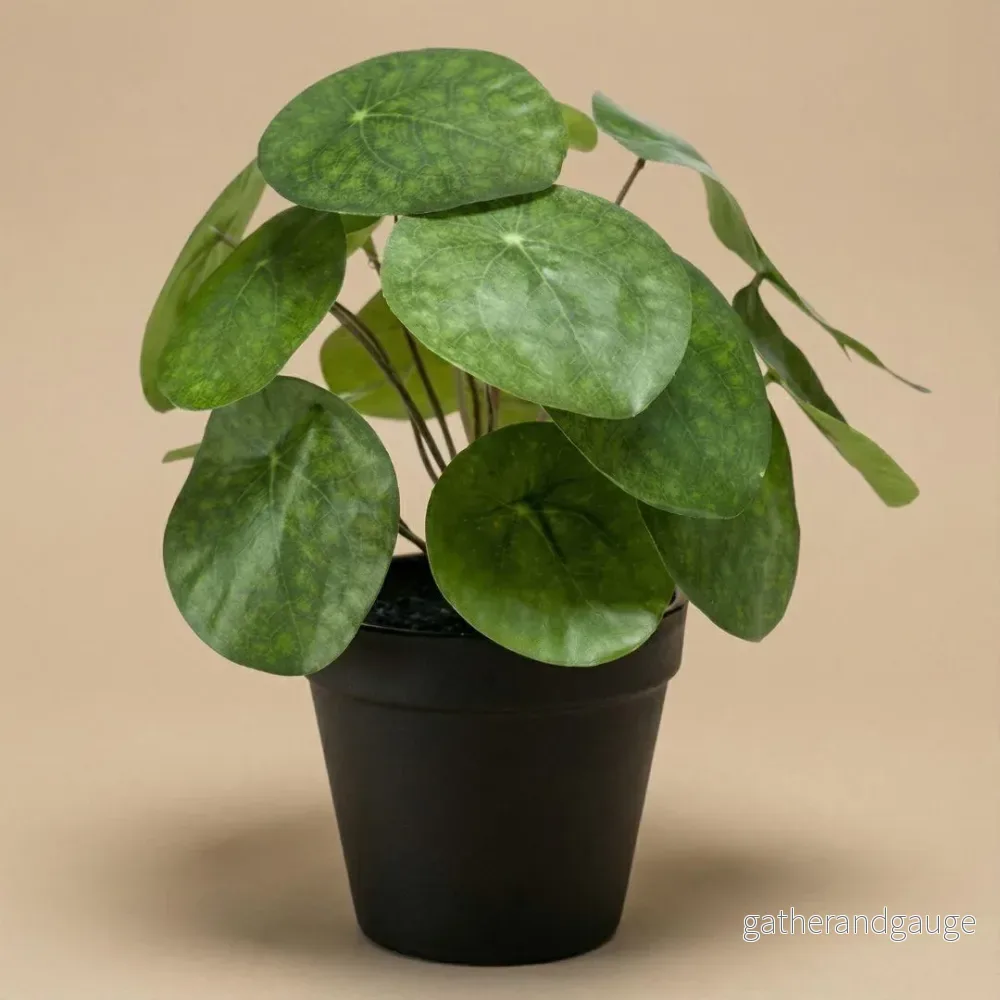 Pilea artificiel h25cm kruka inkluderad - Bild 2