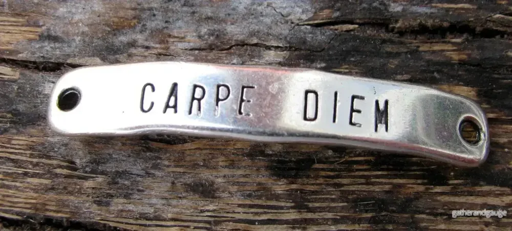 Connector Silverfärgat – Carpe Diem 40x7mm 1 styck Connector Silverfärgat – Carpe Diem 40x7mm 1 styck