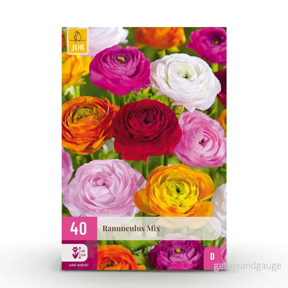 Green boutiQ - Bloembollen - Ranunculus Mix - Diversen Kleuren - 40 stuks - Bolmaat 5/6 - XXL Pack