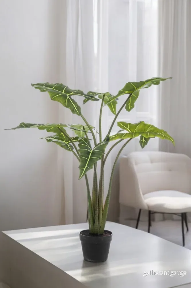 Alocasia konstgjord växt – h100cm, Ø12cm Alocasia konstgjord växt – h100cm, Ø12cm