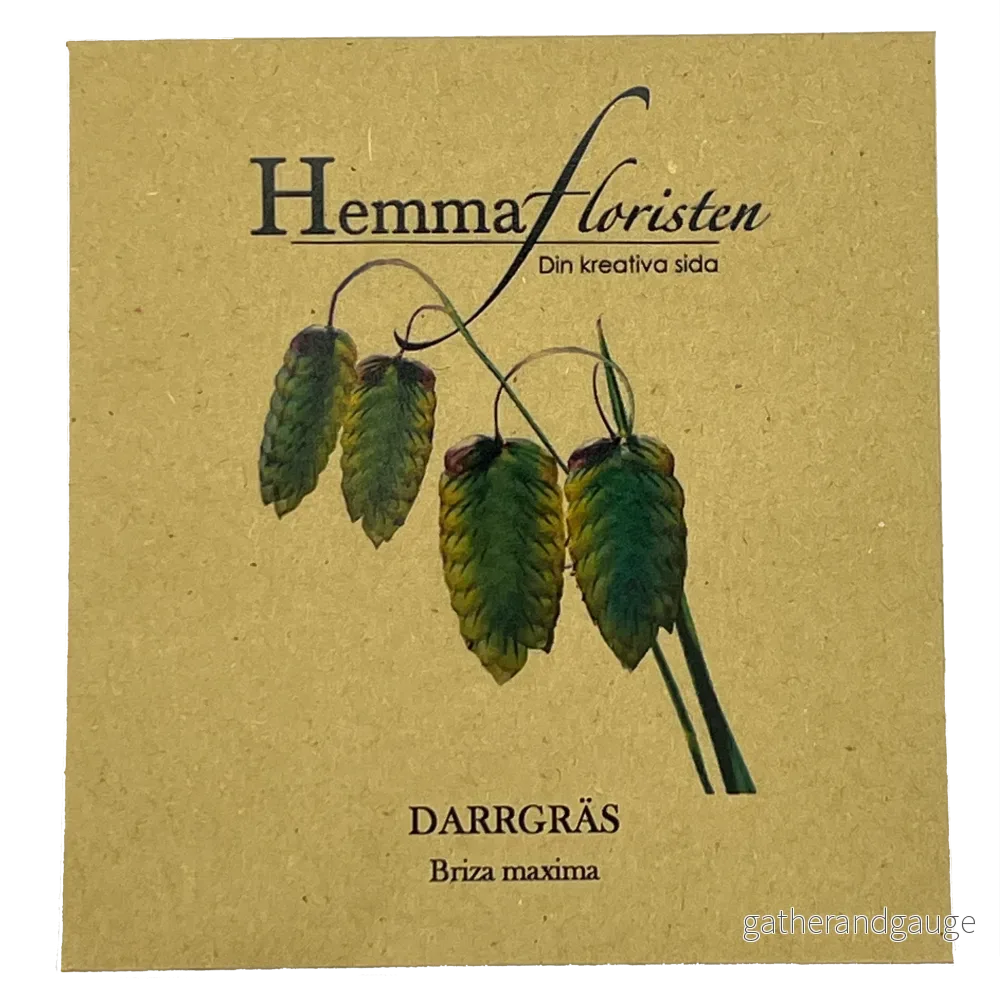 Darrgräs - Bild 2