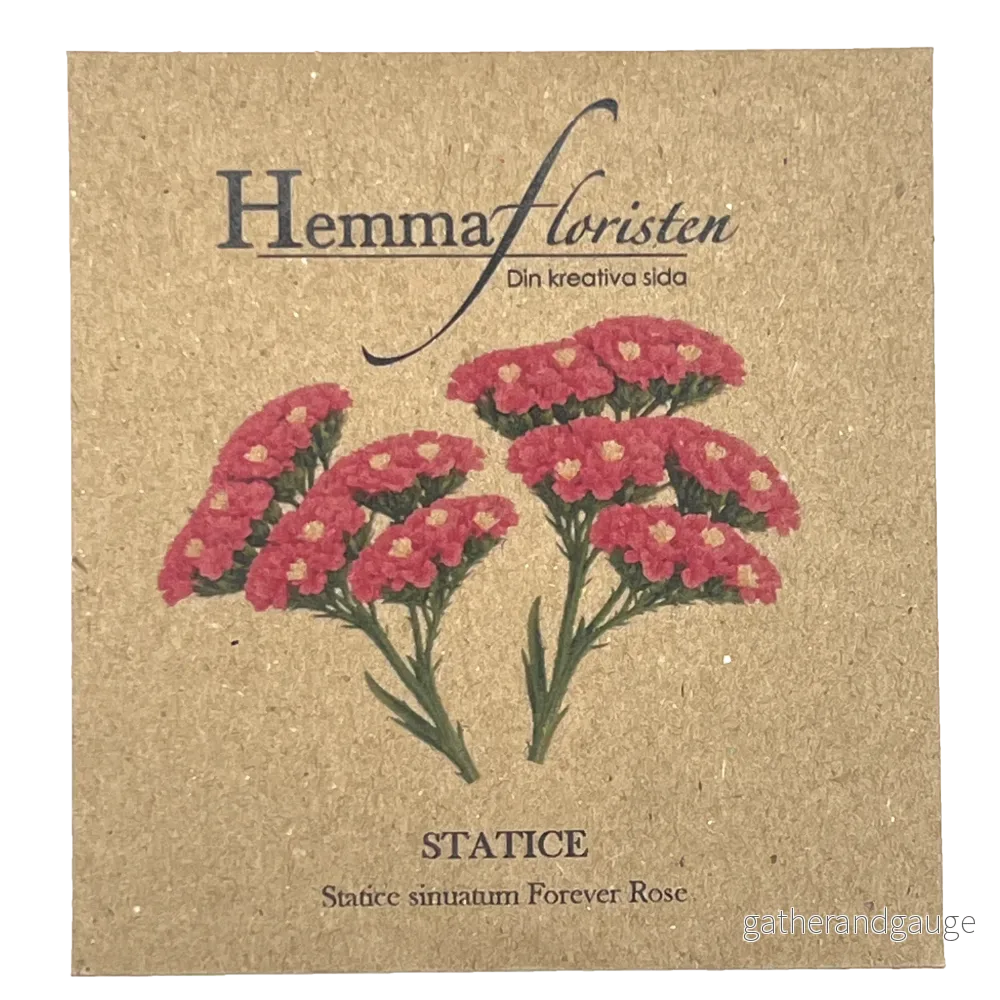 Statice – Forever Rose Statice – Forever Rose
