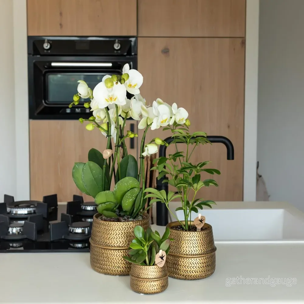 Plantkruka i metall - Ø6cm - Bild 2