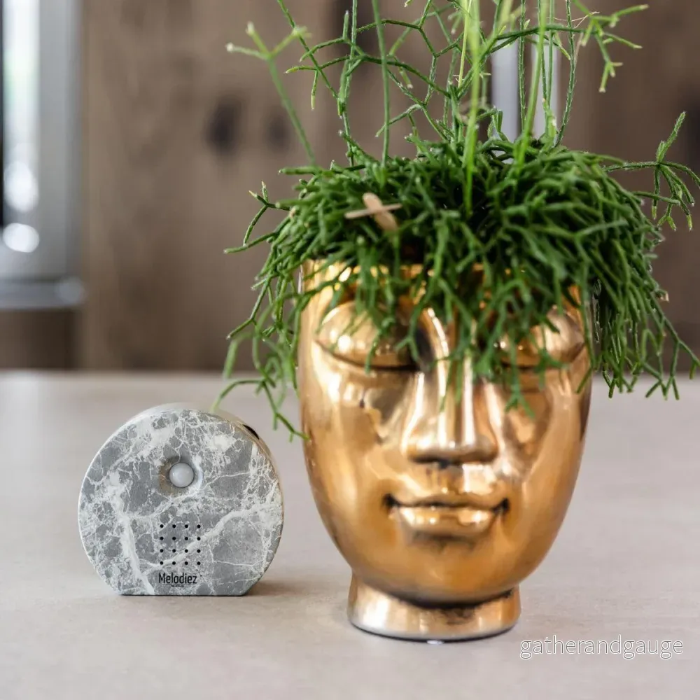 Nature Melody Box - Marmor - Bild 3