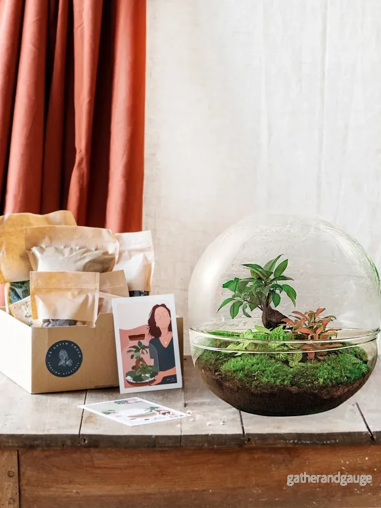 DIY Terrarium Kit – DOME XL DIY Terrarium Kit – DOME XL