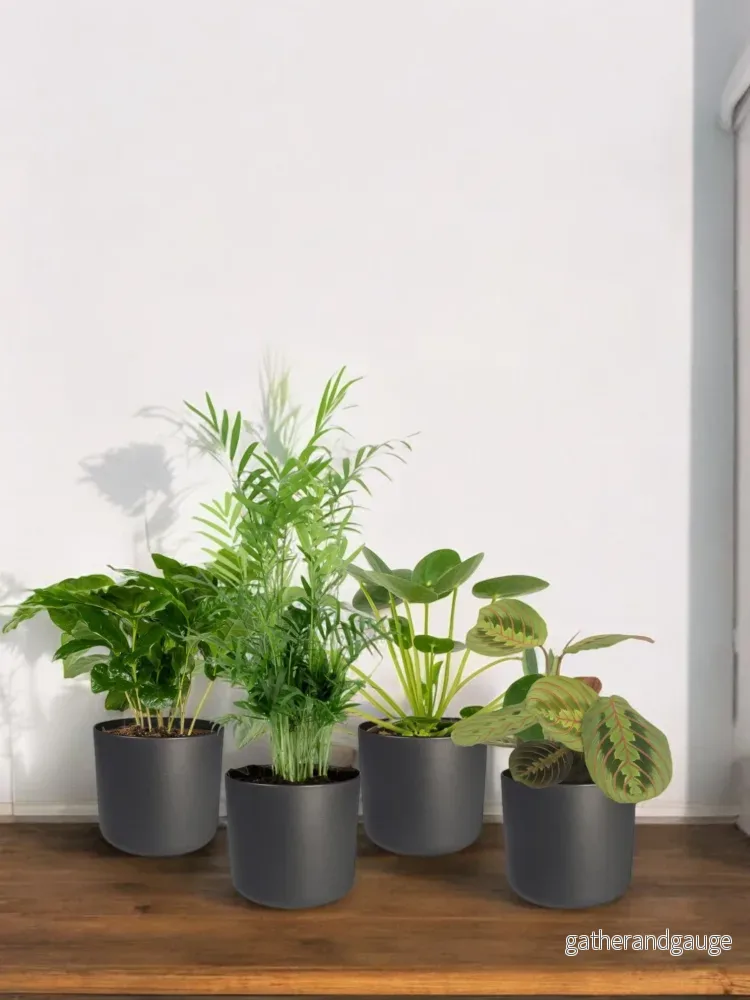Djurvänlig växtlåda – Set med 4 plantor Djurvänlig växtlåda – Set med 4 plantor