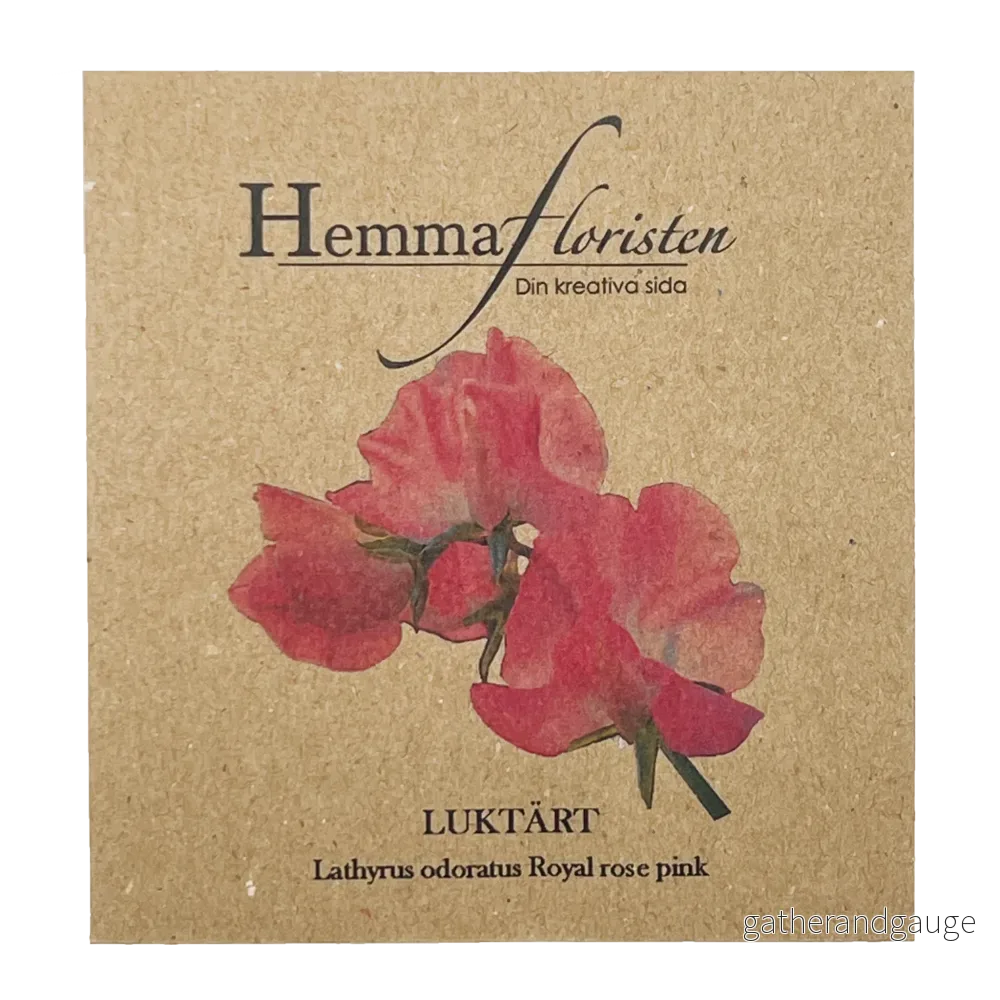 Luktärt Royal Rose Pink