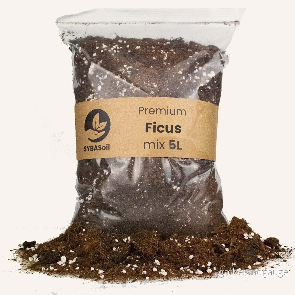 Ficus krukjord - 5L