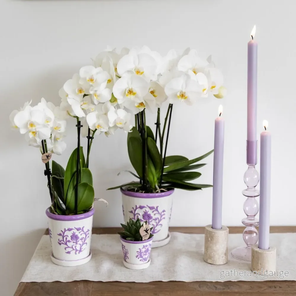 Sierpot Malaga Lilac - Bild 3