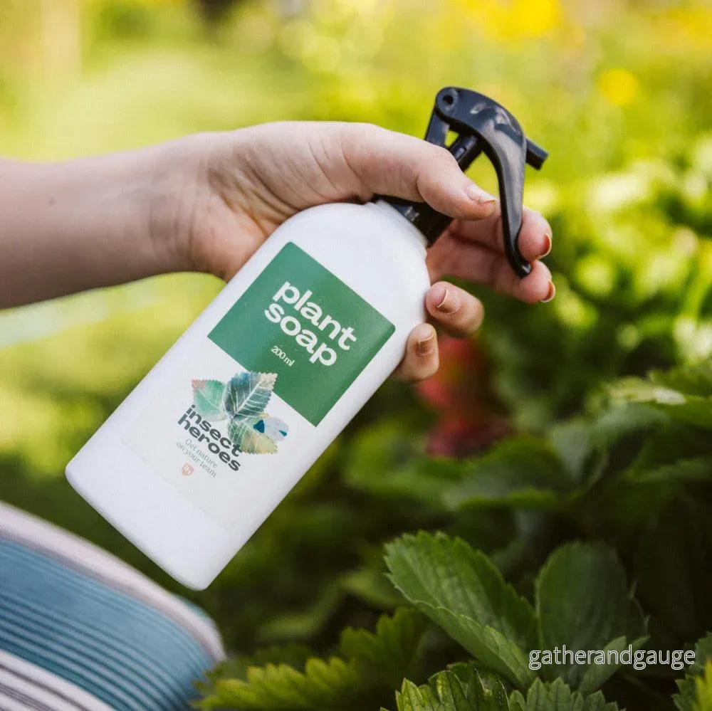 Plant Soap