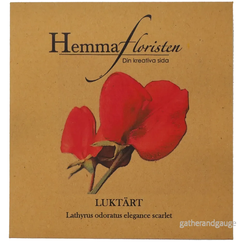 Luktärt - Elegance scarlet - Bild 2