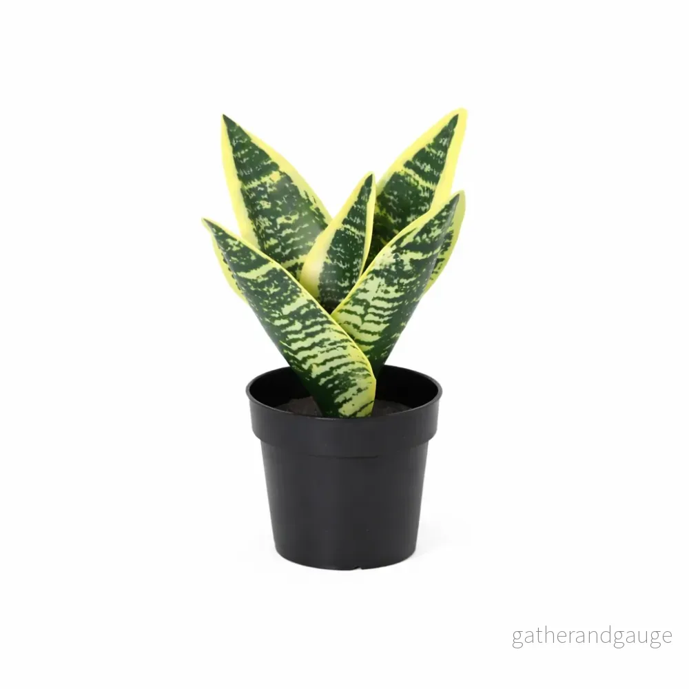 ARTIFICIAL Utanevieria laurentii – 21cm ARTIFICIAL Utanevieria laurentii – 21cm