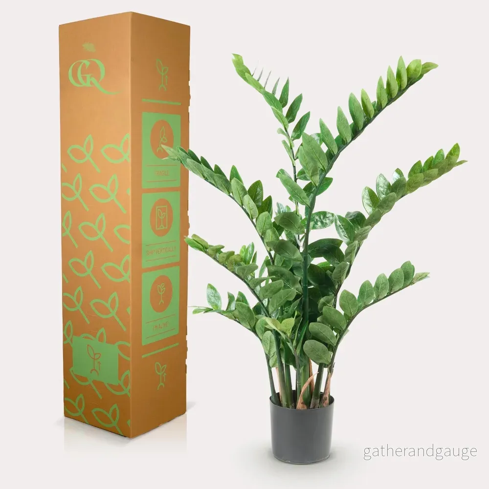 Zamioculcas konstgjorda växt - h110cm, Ø13cm - Bild 3
