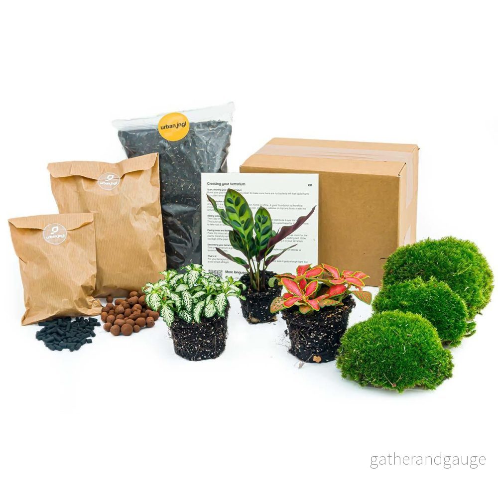 Plantomplanteringssats för terrarium - Bild 2