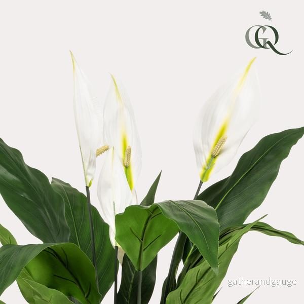 Spathiphyllum - konstgjord månskära - Bild 3