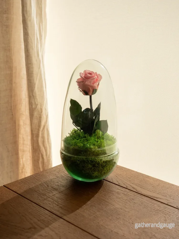 Terrarium Eviga Ros - Bild 2