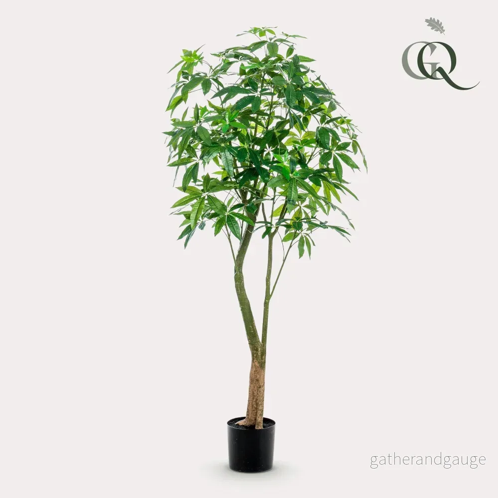 Konstplanta - Pachira Aquatica - Geldboom - 180 cm - Bild 3