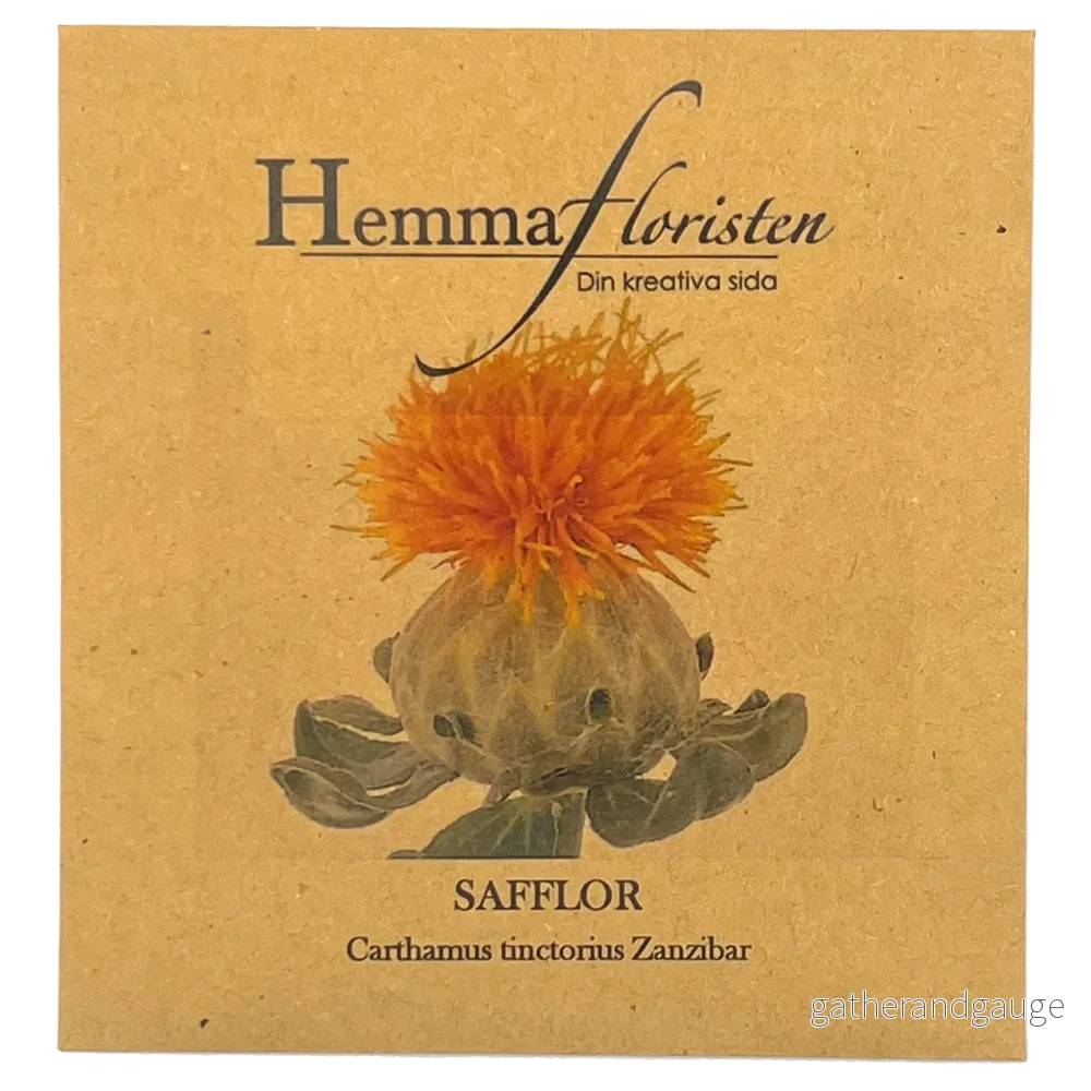Safflor - Carthamus tinctorius Zanzibar - Bild 2