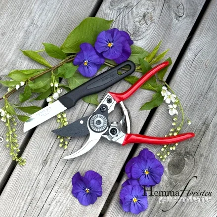 Floristkit - Bild 2