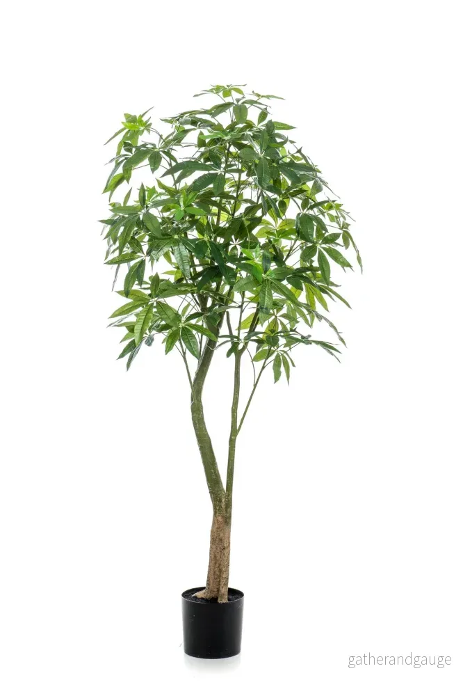 Konstplanta - Pachira Aquatica - Geldboom - 180 cm - Bild 2