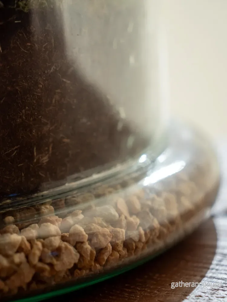 Terrarium - Alma - Bild 2
