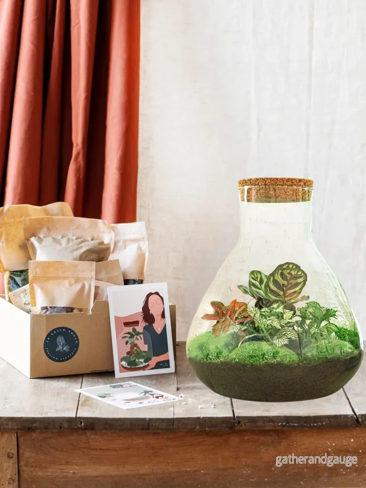 DIY Terrarium Kit - SAMOS - Bild 2