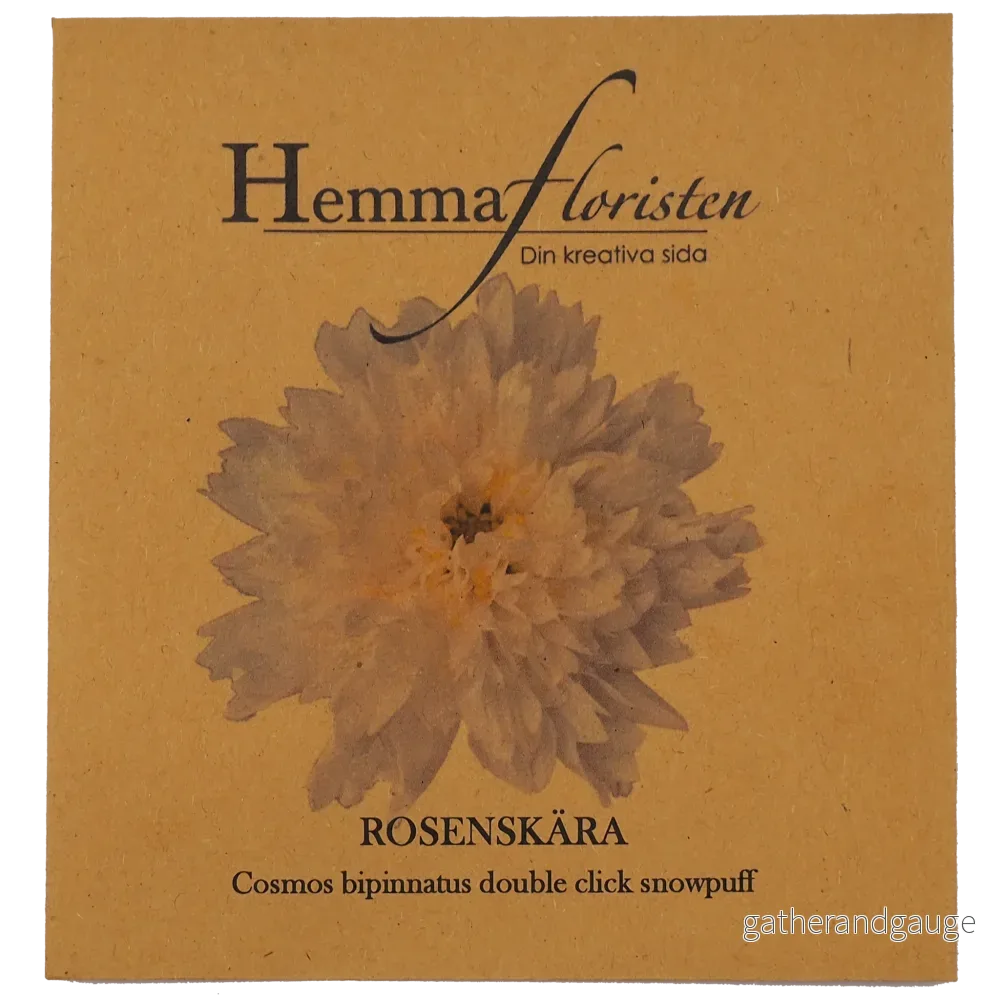 Rosenskära Double Click Snowpuff - Bild 2