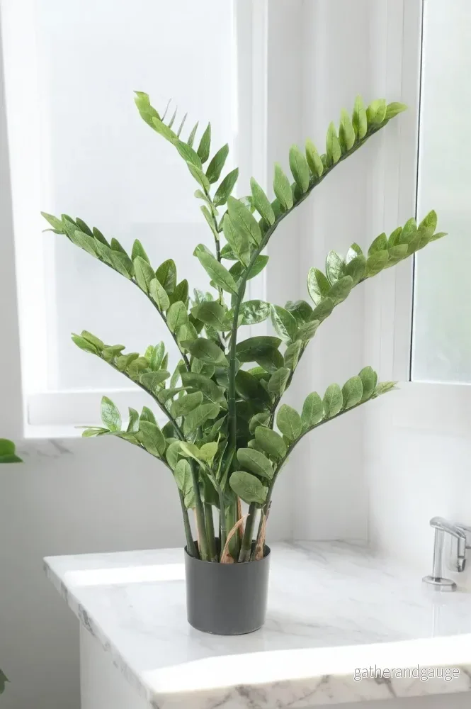 Zamioculcas konstgjorda växt – h110cm, Ø13cm Zamioculcas konstgjorda växt – h110cm, Ø13cm