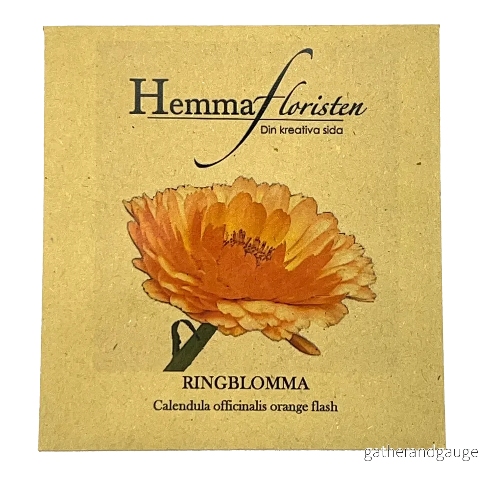 Ringblomma Orange Flash - Bild 2