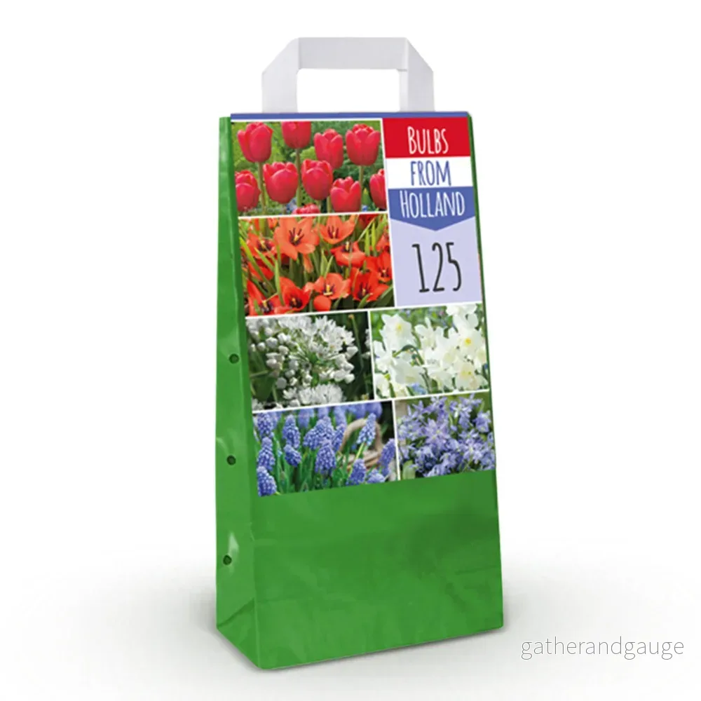 Green boutiQ - Bloembollen - Bulbs From Holland - Diversen Kleuren - 125 stuks - Gift Verpakking