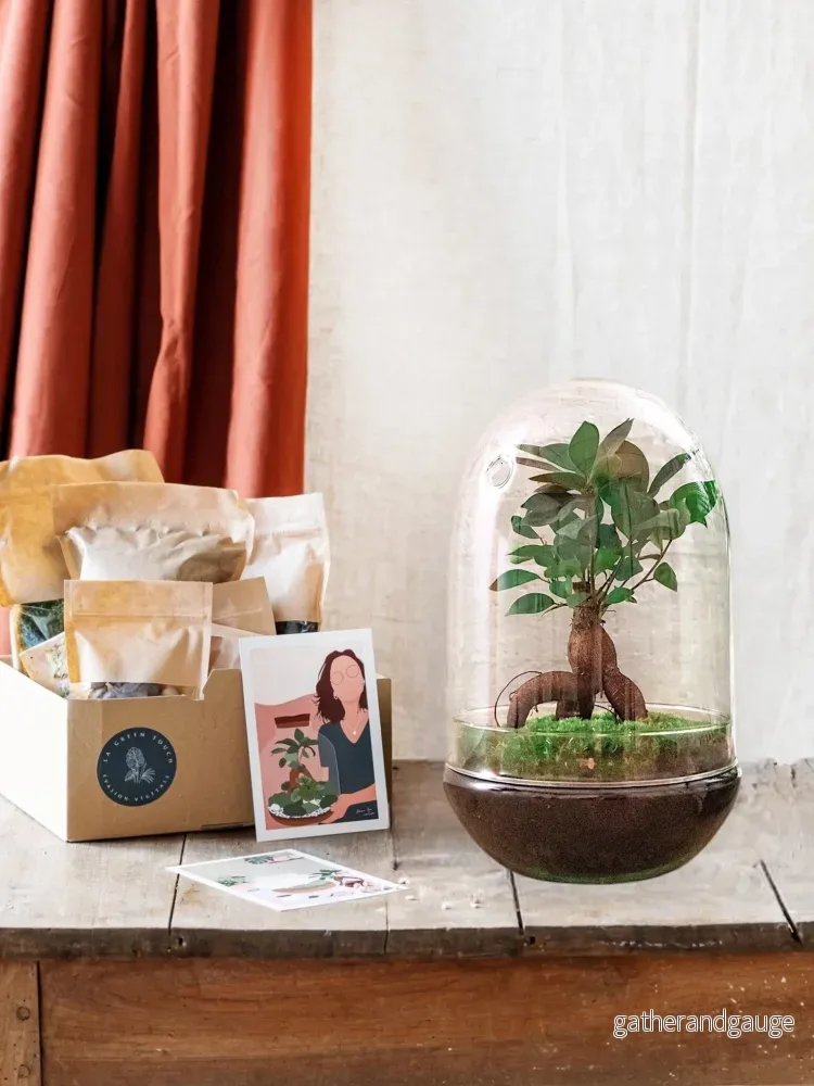 DIY Terrarium Kit – PARIS DIY Terrarium Kit – PARIS